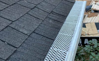 Gutter Cleaning