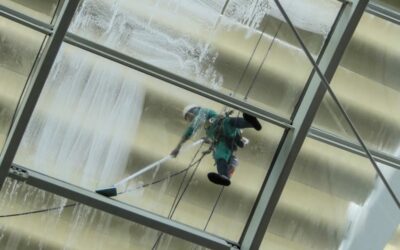 Commercial Window Cleaning