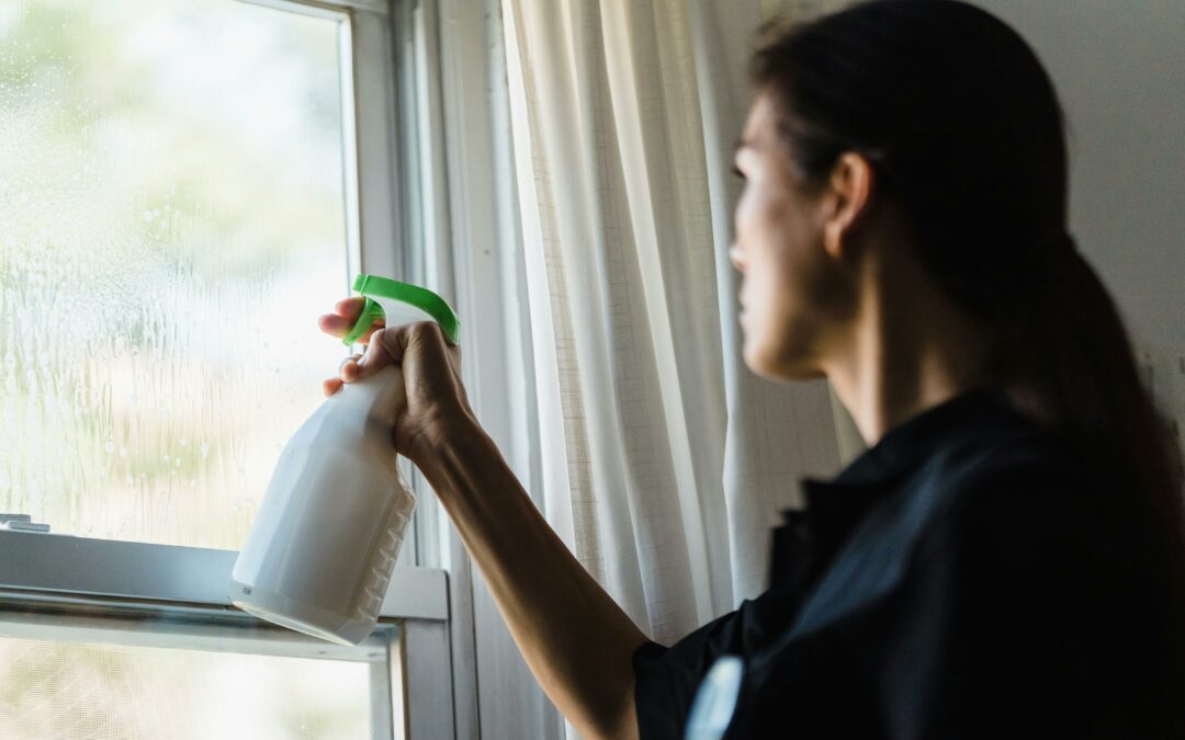 Is it a Good Idea to Clean a Window With Vinegar?