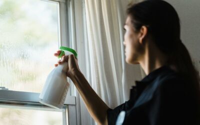 Is it a Good Idea to Clean a Window With Vinegar?