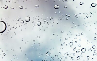 What Is the Difference Between Window Washing and Window Cleaning?